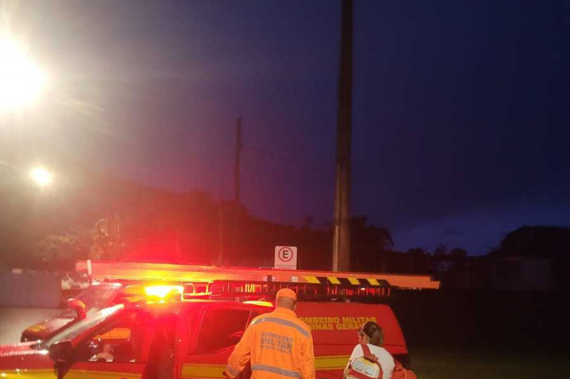 Reprodu&ccedil;&atilde;o