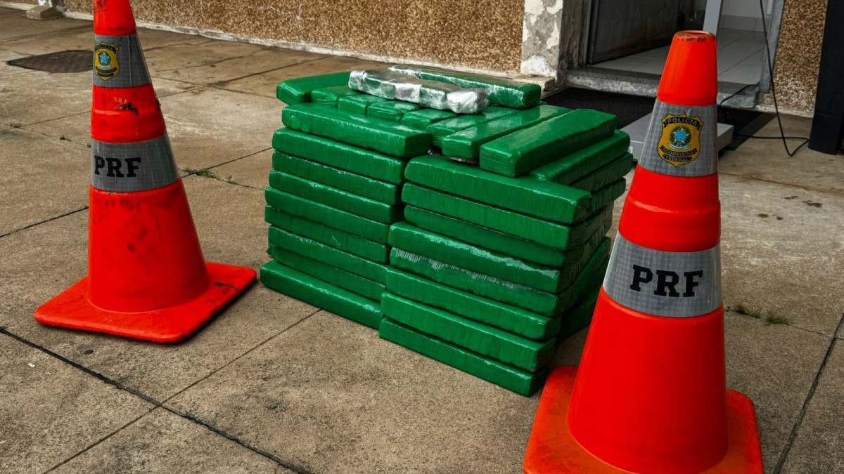 Reprodu&ccedil;&atilde;o