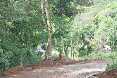 Reprodu&ccedil;&atilde;o