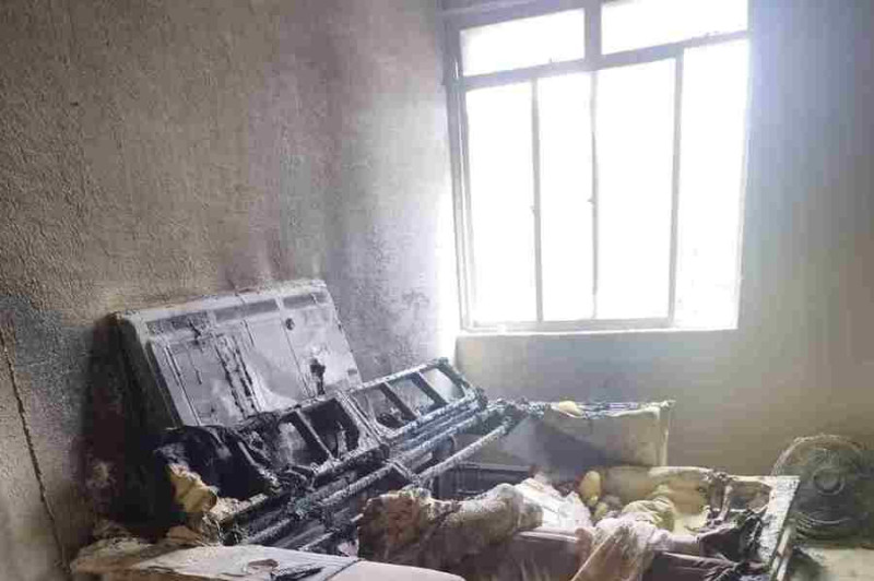 Reprodu&ccedil;&atilde;o 