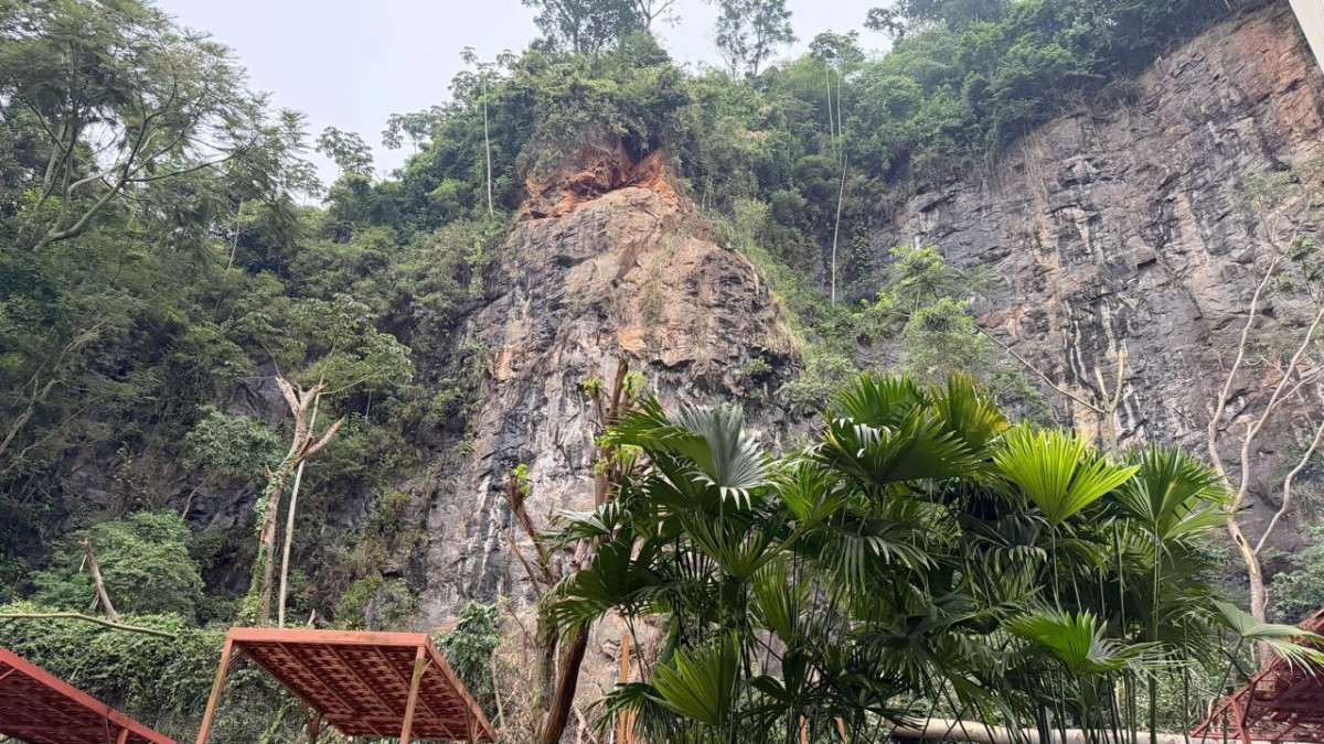 Reprodu&ccedil;&atilde;o