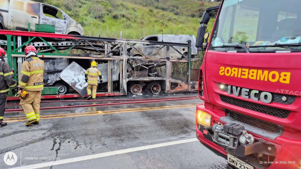 Reprodu&ccedil;&atilde;o