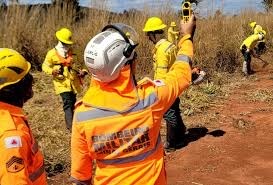 Reprodu&ccedil;&atilde;o 