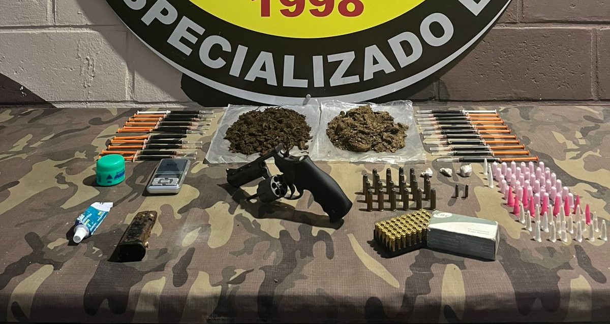 Reprodu&ccedil;&atilde;o