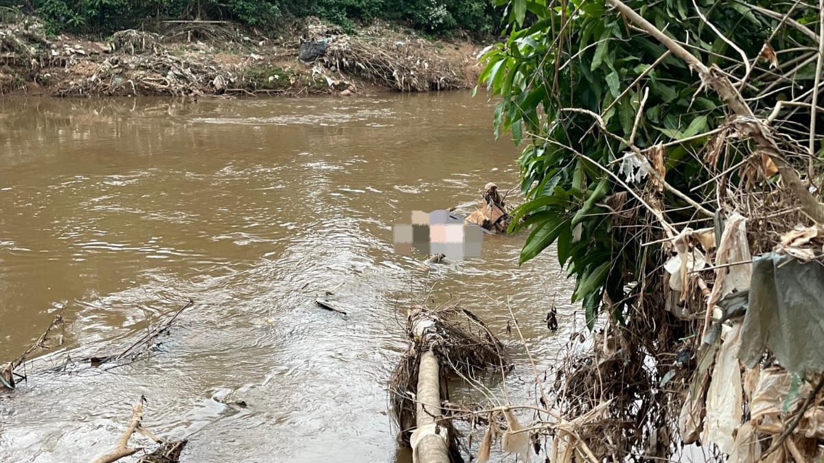 Reprodu&ccedil;&atilde;o 