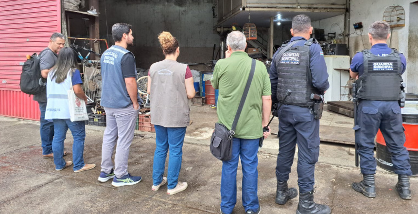 Reprodu&ccedil;&atilde;o