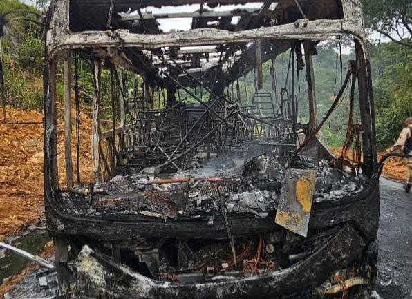 Reprodu&ccedil;&atilde;o 