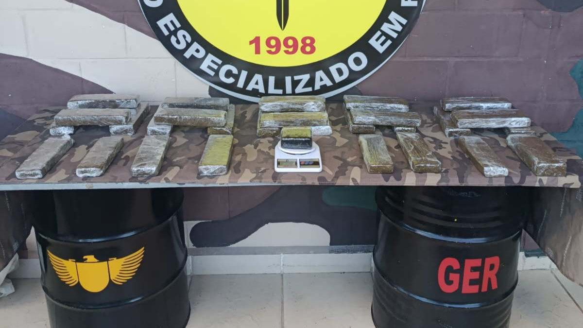 Reprodu&ccedil;&atilde;o 