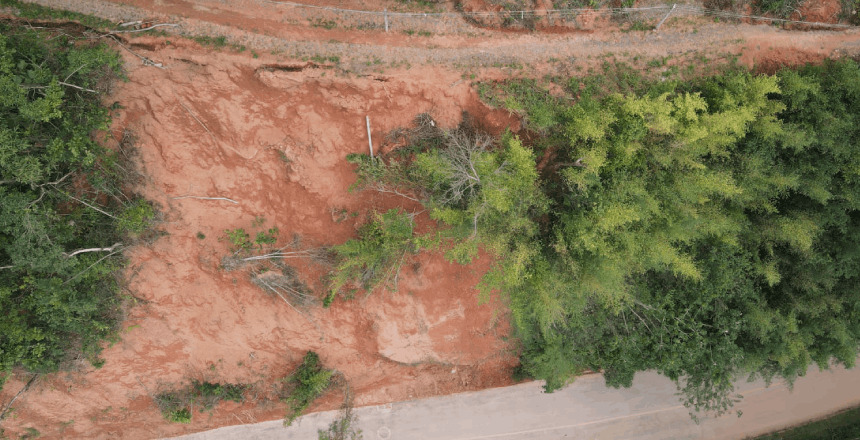 Reprodu&ccedil;&atilde;o 