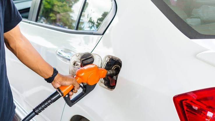 Reprodu&ccedil;&atilde;o 