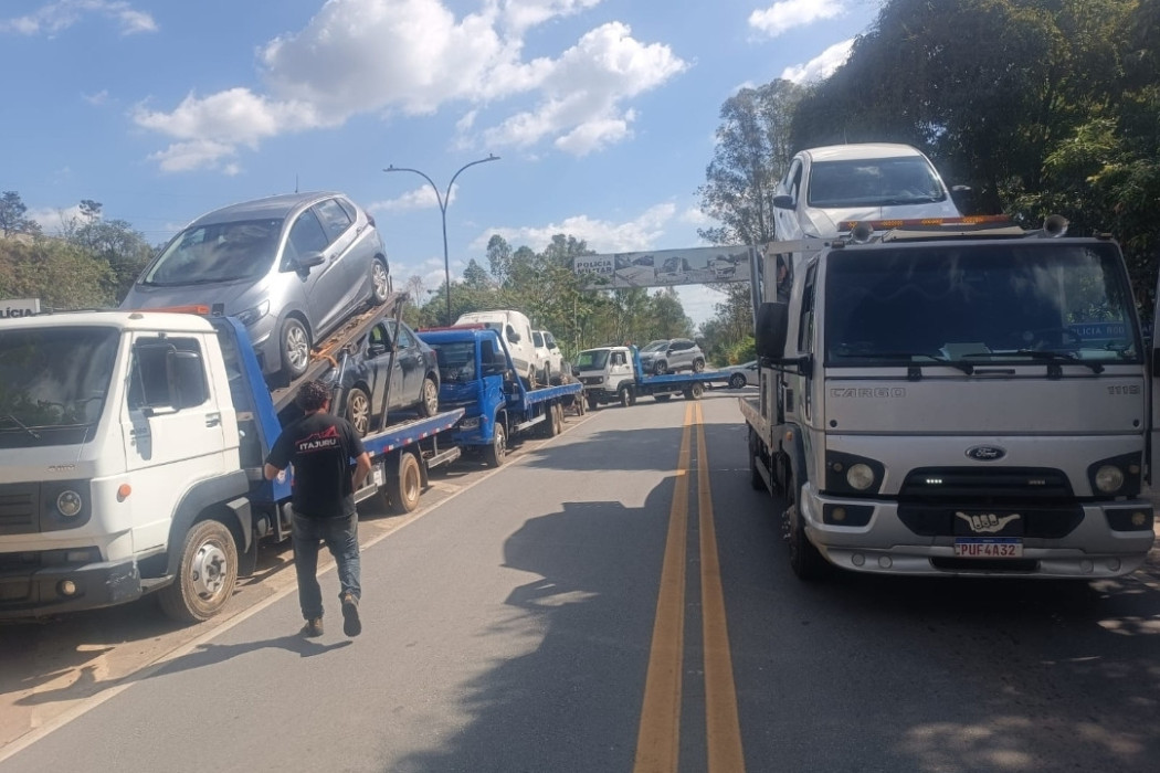 Reprodu&ccedil;&atilde;o 