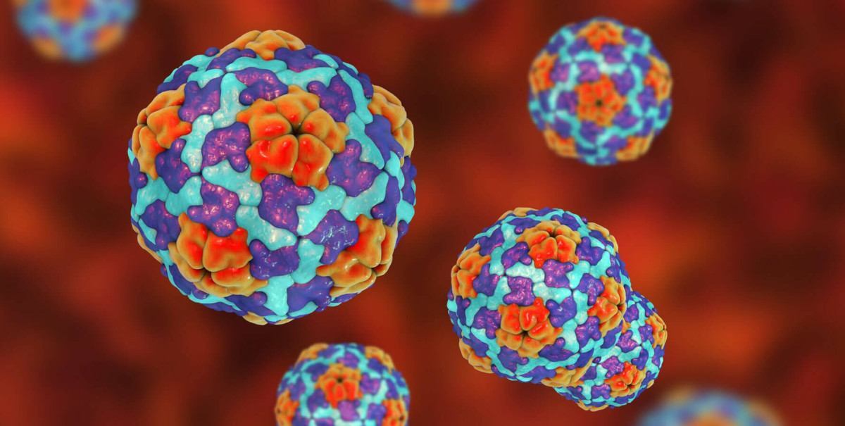 Reprodu&ccedil;&atilde;o