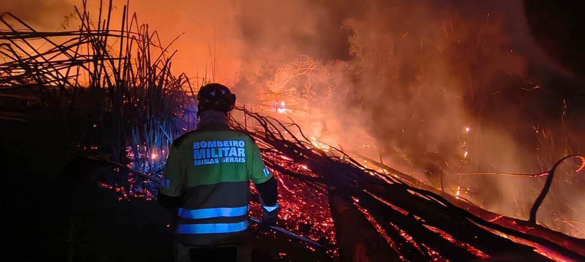 Reprodu&ccedil;&atilde;o 