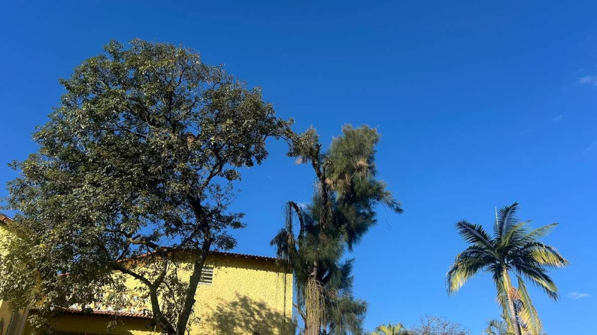 C&eacute;u de Juiz de Fora