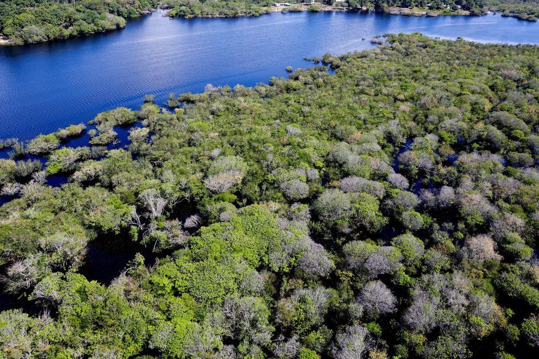 Desmatamento em &aacute;reas protegidas da Amaz&ocirc;nia e do Cerrado tem queda