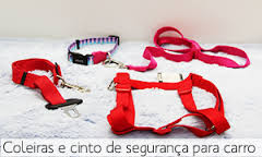 coleiras