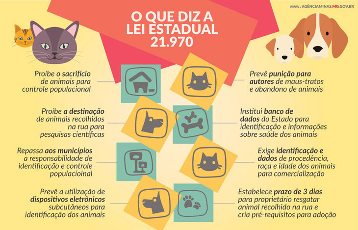Pimentel sanciona lei que garante proteção e bem estar a cães e gatos