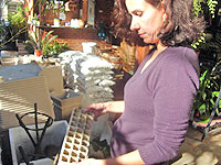 Foto pessoa segurando o suporte de isopor das mudas