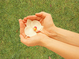 Uma pessoa em contato com a natureza