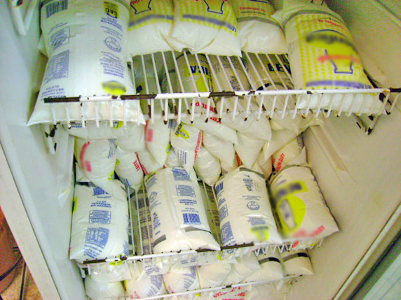 Foto de geladeira com v?rios saquinhos de leite