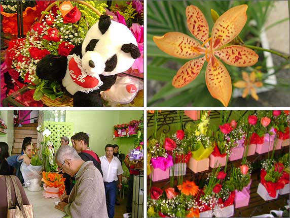 Foto montagem do movimento nas floriculturas