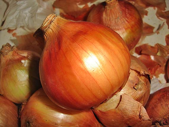 Foto de cebola
