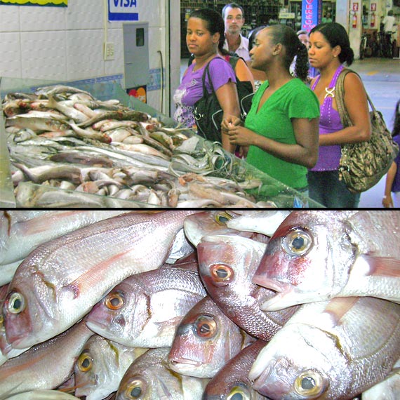 Foto do buraco na Rio Branco