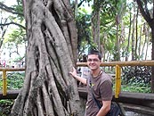 Foto do bi?logo nas ?rvores do Parque Halfeld