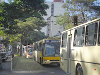 Foto dos ônibus