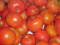Tomates em uma banca de mercado