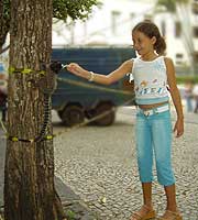 FOTO macaco no Parque Halfeld