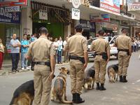 Foto da Polícia Civil
