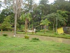 foto da fachada do Ibama - JF