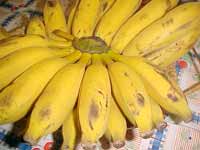 foto de um cacho de banana