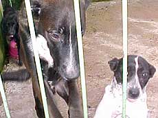 Foto de motos estacionadas