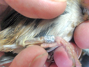 Foto do abaixo-assinado