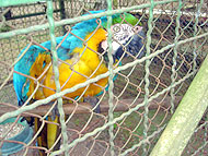 Foto do abaixo-assinado