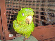 Foto do abaixo-assinado