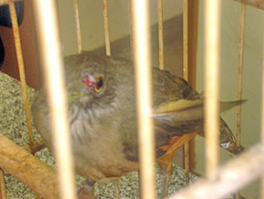 Foto do abaixo-assinado