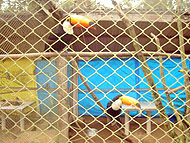 Foto do abaixo-assinado