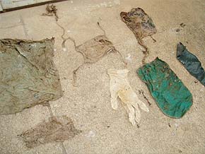 Foto de tela de Ana Paula Ar?sio