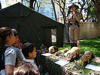 Semana de Tr&acirc;nsito