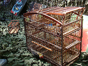 Semana de Tr&acirc;nsito