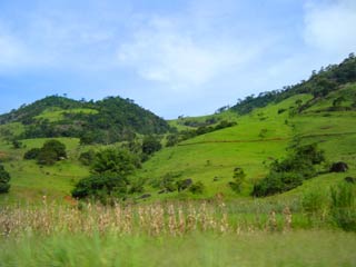 Foto: Arquivo/ACESSA.com Foto de mata