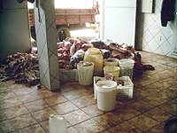 Imagem das carnes apreendidas