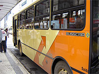 &Ocirc;nibus