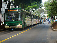 &Ocirc;nibus parados