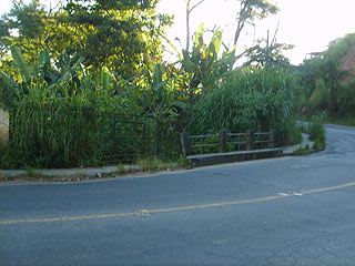 FOTO: Mariana Rodrigues Mato