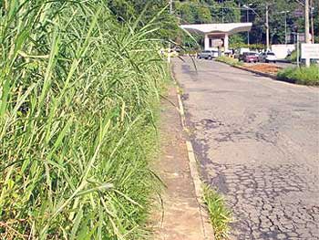 FOTO: Márcio Silva Mato