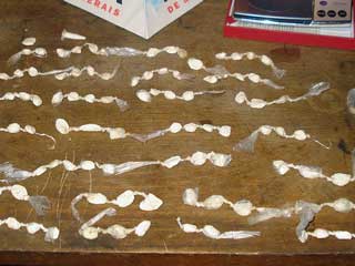 Foto: Ascobom drogas apreendidas